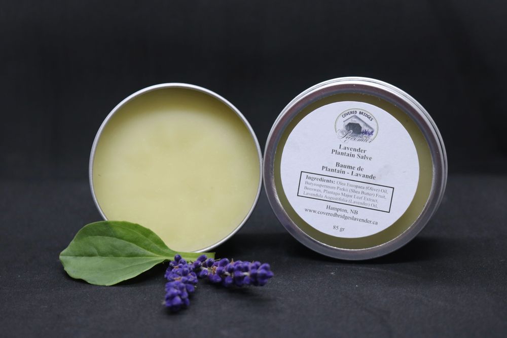 Lavender Plantain Salve