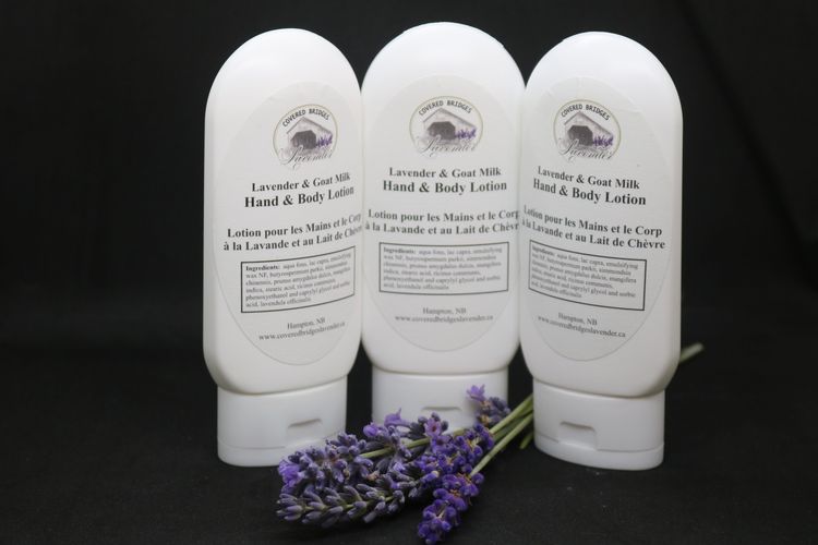Lavender Goat Milk Hand and Body Lotion