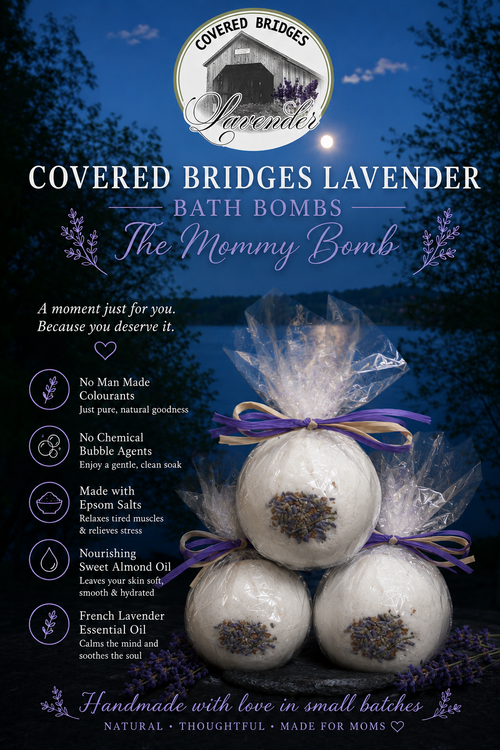 Gift Package of 3 Bath Bombs 