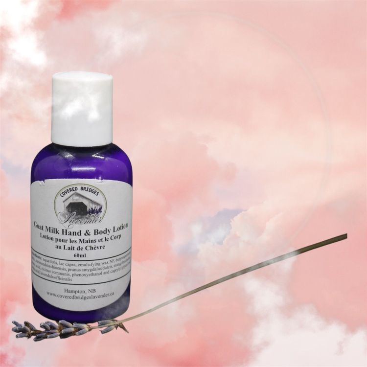 Lavender Goat Milk Hand and Body Lotion